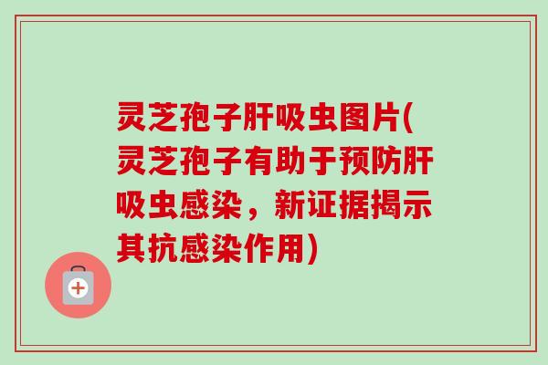 灵芝孢子肝吸虫图片(灵芝孢子有助于预防肝吸虫感染，新证据揭示其抗感染作用)