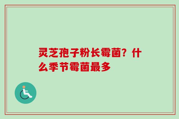 灵芝孢子粉长霉菌？什么季节霉菌最多