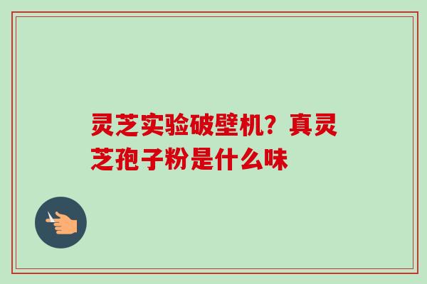 灵芝实验破壁机？真灵芝孢子粉是什么味