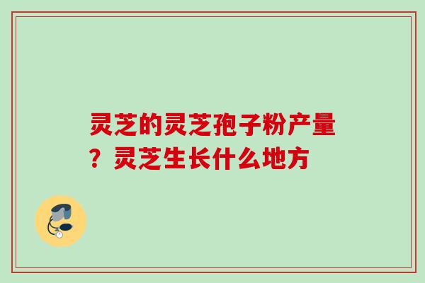 灵芝的灵芝孢子粉产量?灵芝生长什么地方 灵芝的灵芝孢子粉产量?灵芝生长什么地方