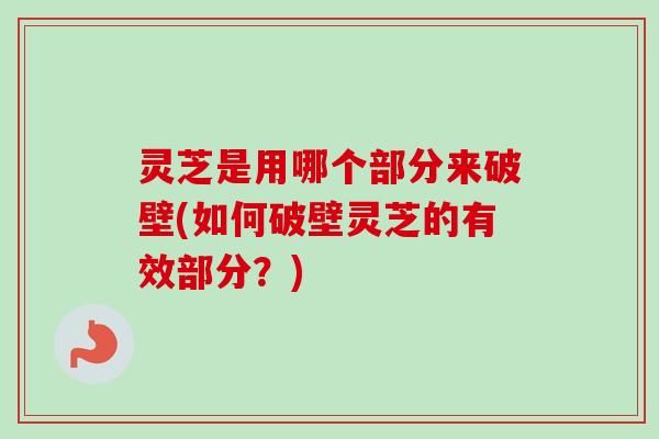 灵芝是用哪个部分来破壁(如何破壁灵芝的有效部分？)