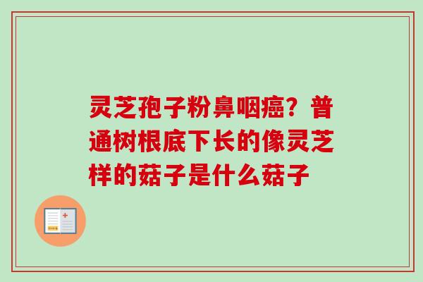 灵芝孢子粉鼻咽癌？普通树根底下长的像灵芝样的菇子是什么菇子