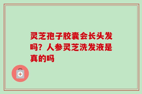 灵芝孢子胶囊会长头发吗？人参灵芝洗发液是真的吗