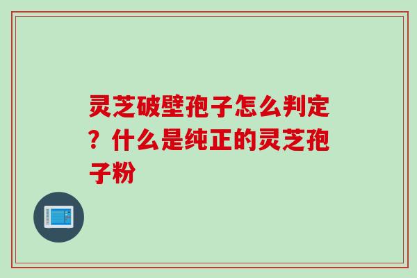 灵芝破壁孢子怎么判定？什么是纯正的灵芝孢子粉