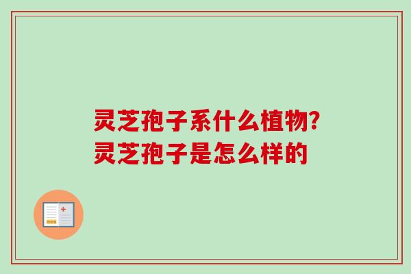 灵芝孢子系什么植物?灵芝孢子是怎么样的 灵芝孢子系什么植物?灵芝孢子是怎么样的