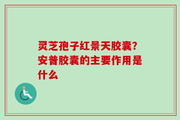灵芝孢子红景天胶囊？安普胶囊的主要作用是什么