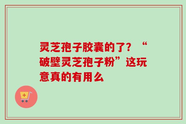 灵芝孢子胶囊的了？“破壁灵芝孢子粉”这玩意真的有用么