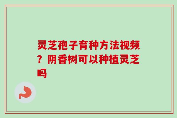 灵芝孢子育种方法视频？阴香树可以种植灵芝吗