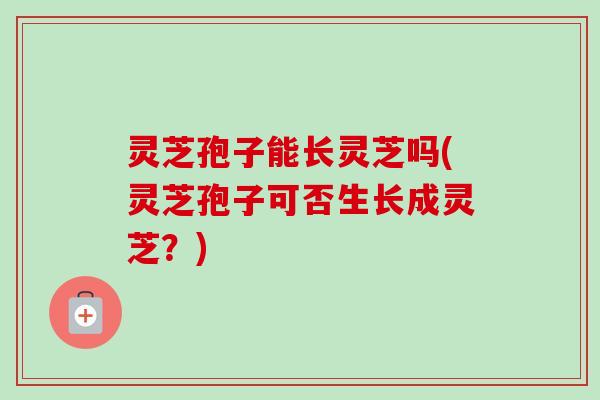 灵芝孢子能长灵芝吗(灵芝孢子可否生长成灵芝？)