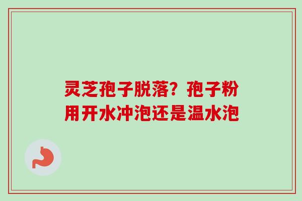 灵芝孢子脱落？孢子粉用开水冲泡还是温水泡