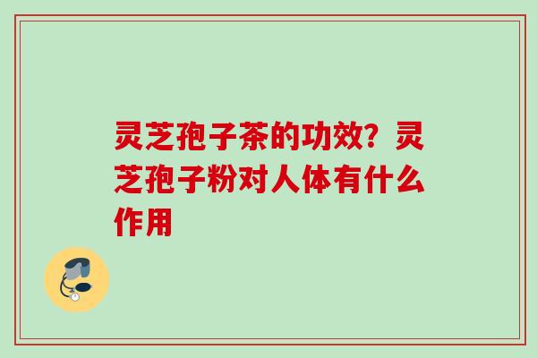 灵芝孢子茶的功效？灵芝孢子粉对人体有什么作用