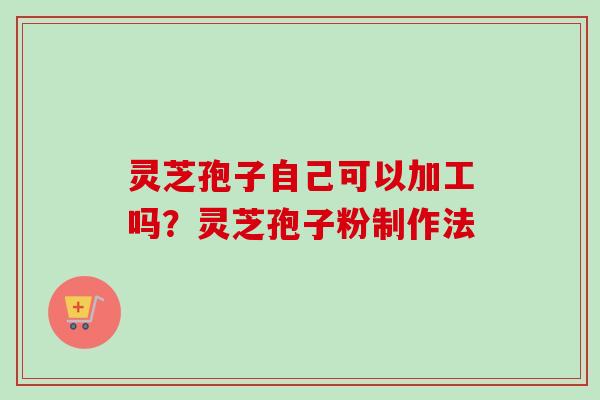 灵芝孢子自己可以加工吗？灵芝孢子粉制作法