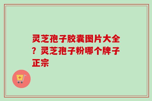 灵芝孢子胶囊图片大全？灵芝孢子粉哪个牌子正宗