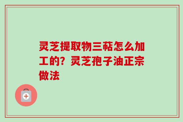 灵芝提取物三萜怎么加工的？灵芝孢子油正宗做法