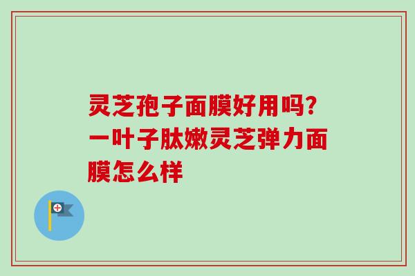 灵芝孢子面膜好用吗？一叶子肽嫩灵芝弹力面膜怎么样