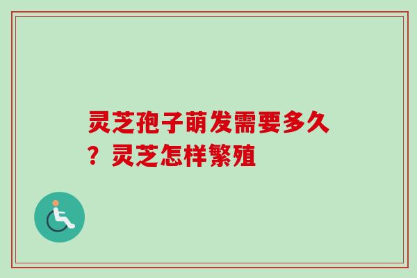 灵芝孢子萌发需要多久？灵芝怎样繁殖