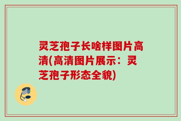 灵芝孢子长啥样图片高清(高清图片展示：灵芝孢子形态全貌)