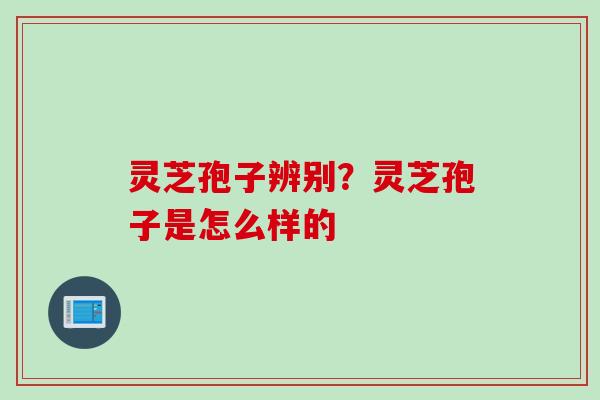灵芝孢子辨别？灵芝孢子是怎么样的