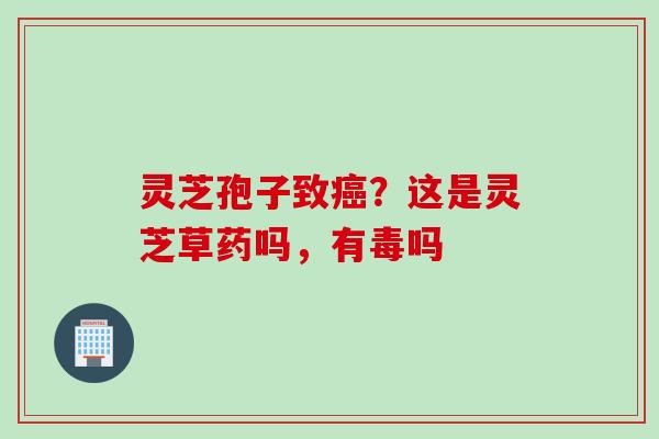 灵芝孢子致癌？这是灵芝草药吗，有毒吗