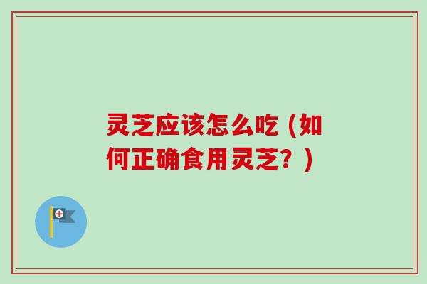 灵芝应该怎么吃 (如何正确食用灵芝？)
