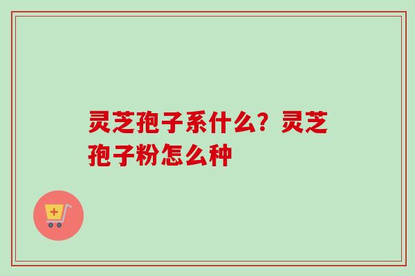 灵芝孢子系什么？灵芝孢子粉怎么种