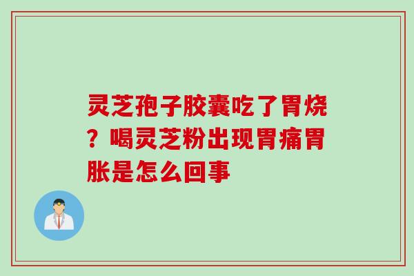 灵芝孢子胶囊吃了胃烧？喝灵芝粉出现胃痛胃胀是怎么回事
