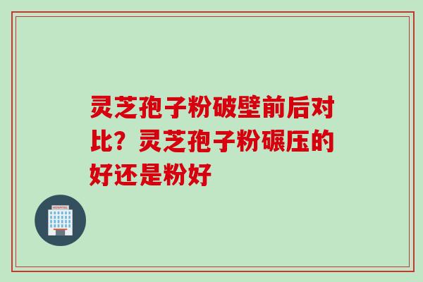 灵芝孢子粉破壁前后对比？灵芝孢子粉碾压的好还是粉好