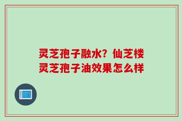 灵芝孢子融水?仙芝楼灵芝孢子油效果怎么样 灵芝孢子融水?仙芝楼灵芝孢子油效果怎么样