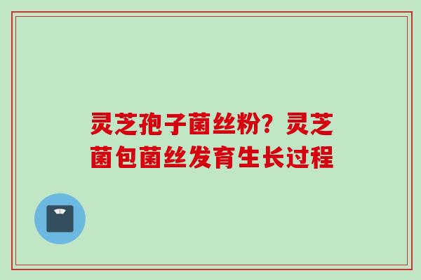 灵芝孢子菌丝粉？灵芝菌包菌丝发育生长过程