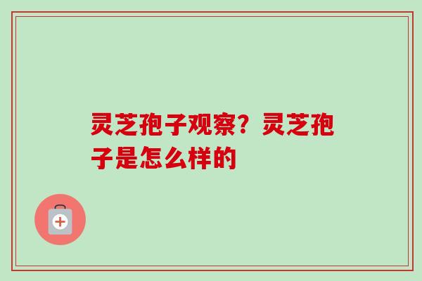 灵芝孢子观察？灵芝孢子是怎么样的