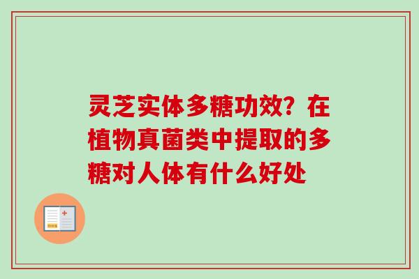灵芝实体多糖功效？在植物真菌类中提取的多糖对人体有什么好处