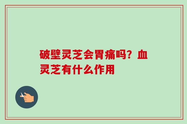破壁灵芝会胃痛吗？血灵芝有什么作用