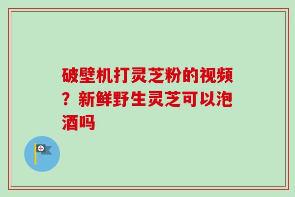 破壁机打灵芝粉的视频？新鲜野生灵芝可以泡酒吗