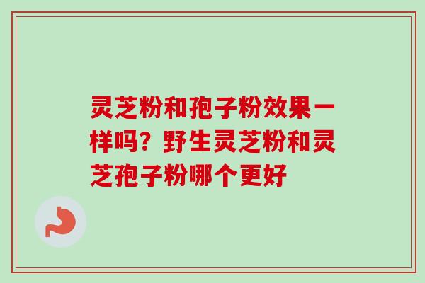 灵芝粉和孢子粉效果一样吗？野生灵芝粉和灵芝孢子粉哪个更好