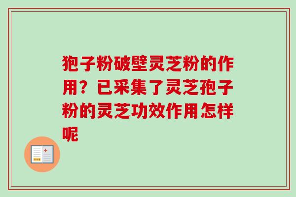 狍子粉破壁灵芝粉的作用？已采集了灵芝孢子粉的灵芝功效作用怎样呢