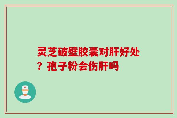灵芝破壁胶囊对肝好处？孢子粉会伤肝吗