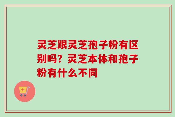灵芝跟灵芝孢子粉有区别吗？灵芝本体和孢子粉有什么不同