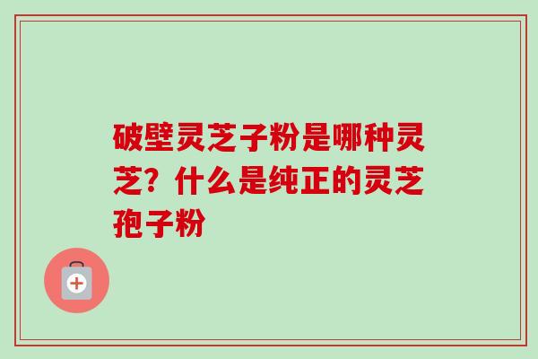 破壁灵芝子粉是哪种灵芝？什么是纯正的灵芝孢子粉