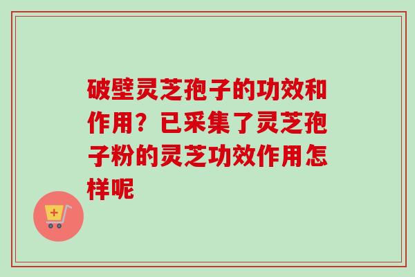 破壁灵芝孢子的功效和作用？已采集了灵芝孢子粉的灵芝功效作用怎样呢
