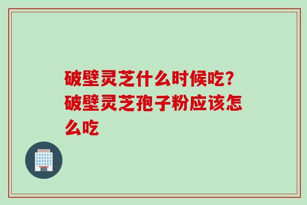 破壁灵芝什么时候吃？破壁灵芝孢子粉应该怎么吃