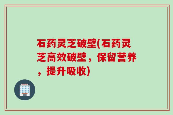 石药灵芝破壁(石药灵芝高效破壁，保留营养，提升吸收)