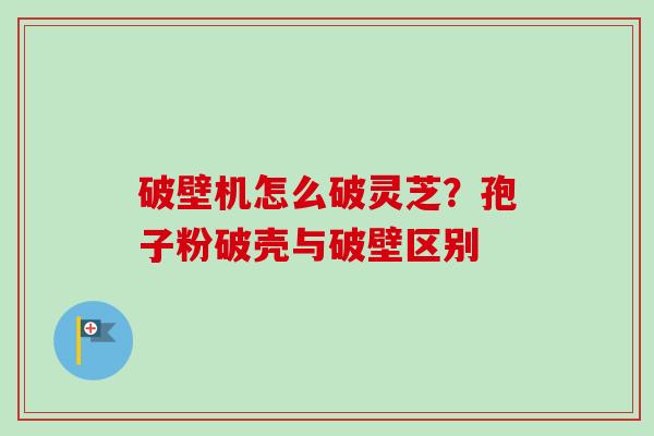 破壁机怎么破灵芝？孢子粉破壳与破壁区别