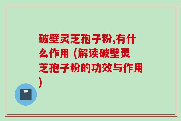 破壁灵芝孢子粉,有什么作用 (解读破壁灵芝孢子粉的功效与作用)