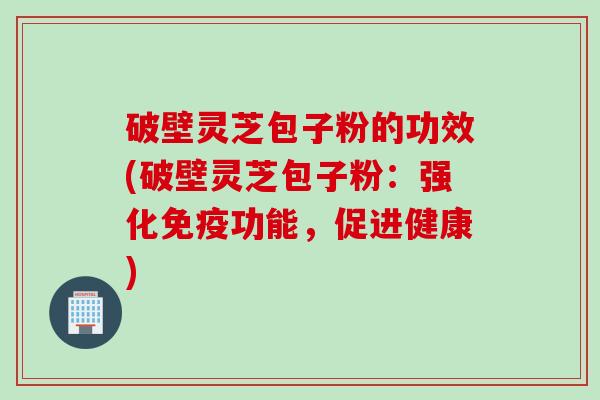 破壁灵芝包子粉的功效(破壁灵芝包子粉：强化免疫功能，促进健康)