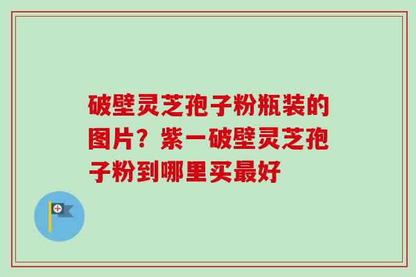 破壁灵芝孢子粉瓶装的图片？紫一破壁灵芝孢子粉到哪里买最好