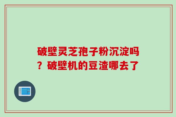 破壁灵芝孢子粉沉淀吗？破壁机的豆渣哪去了