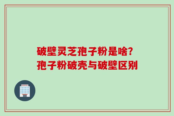 破壁灵芝孢子粉是啥？孢子粉破壳与破壁区别