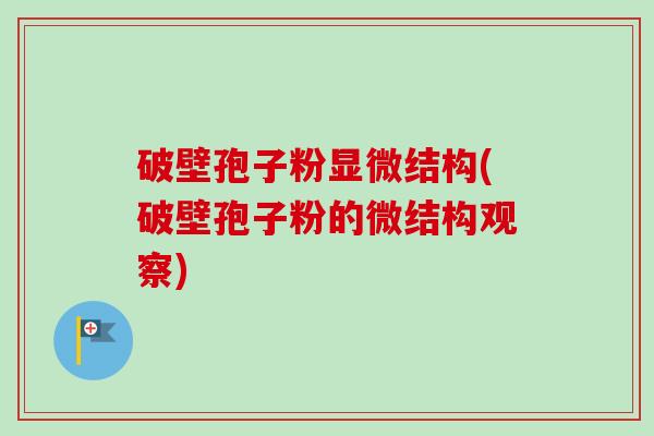 破壁孢子粉显微结构(破壁孢子粉的微结构观察)