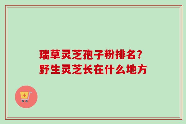 瑞草灵芝孢子粉排名？野生灵芝长在什么地方