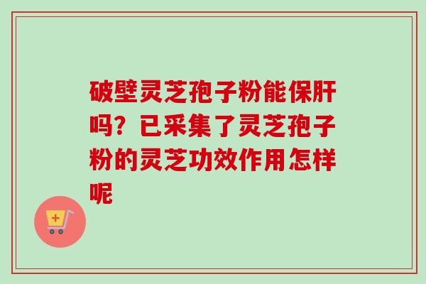 破壁灵芝孢子粉能吗?已采集了灵芝孢子粉的灵芝功效作用怎样呢 破壁灵芝孢子粉能吗?已采集了灵芝孢子粉的灵芝功效作用怎样呢